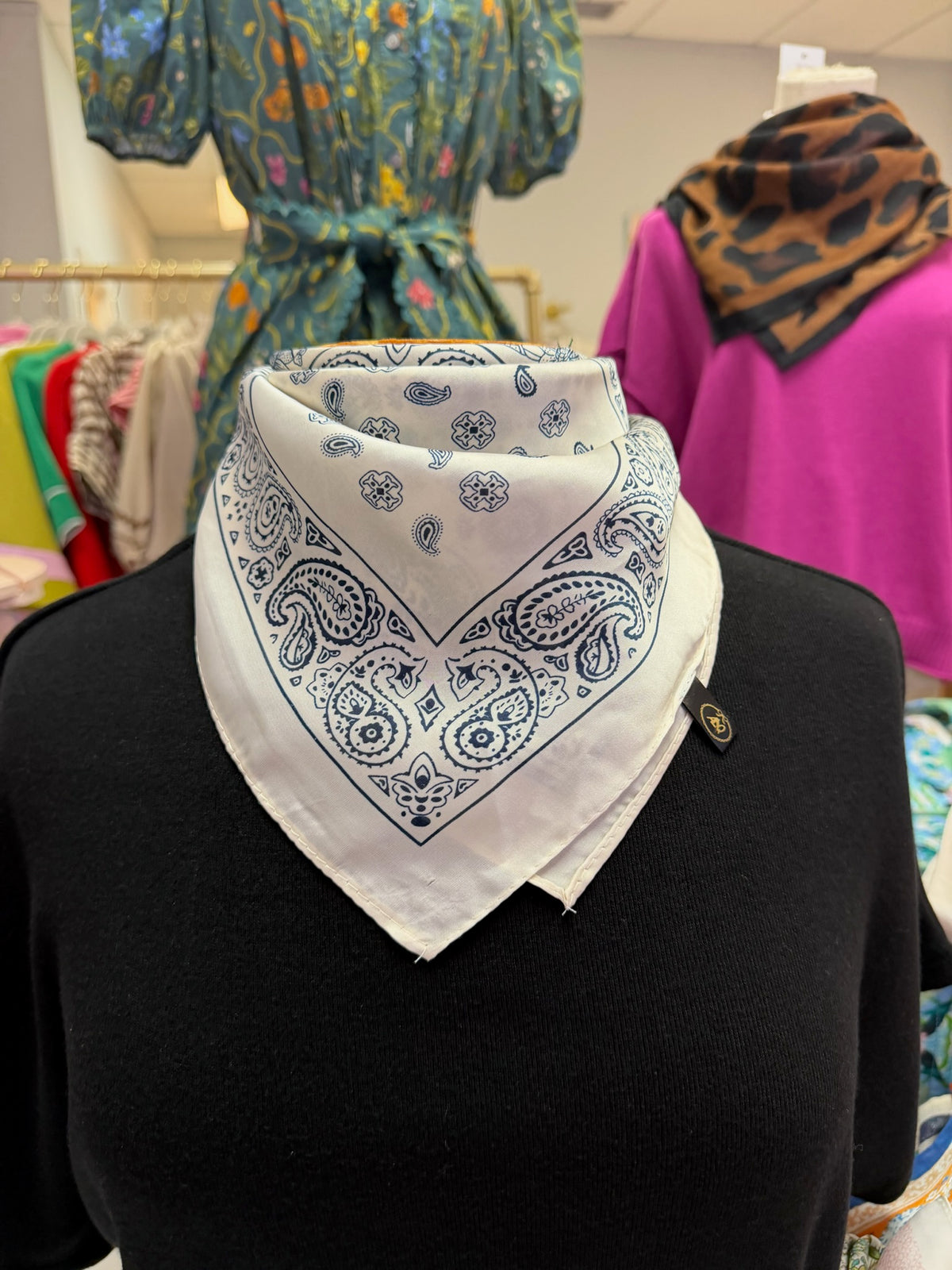 The Rodeo Drive Scarf