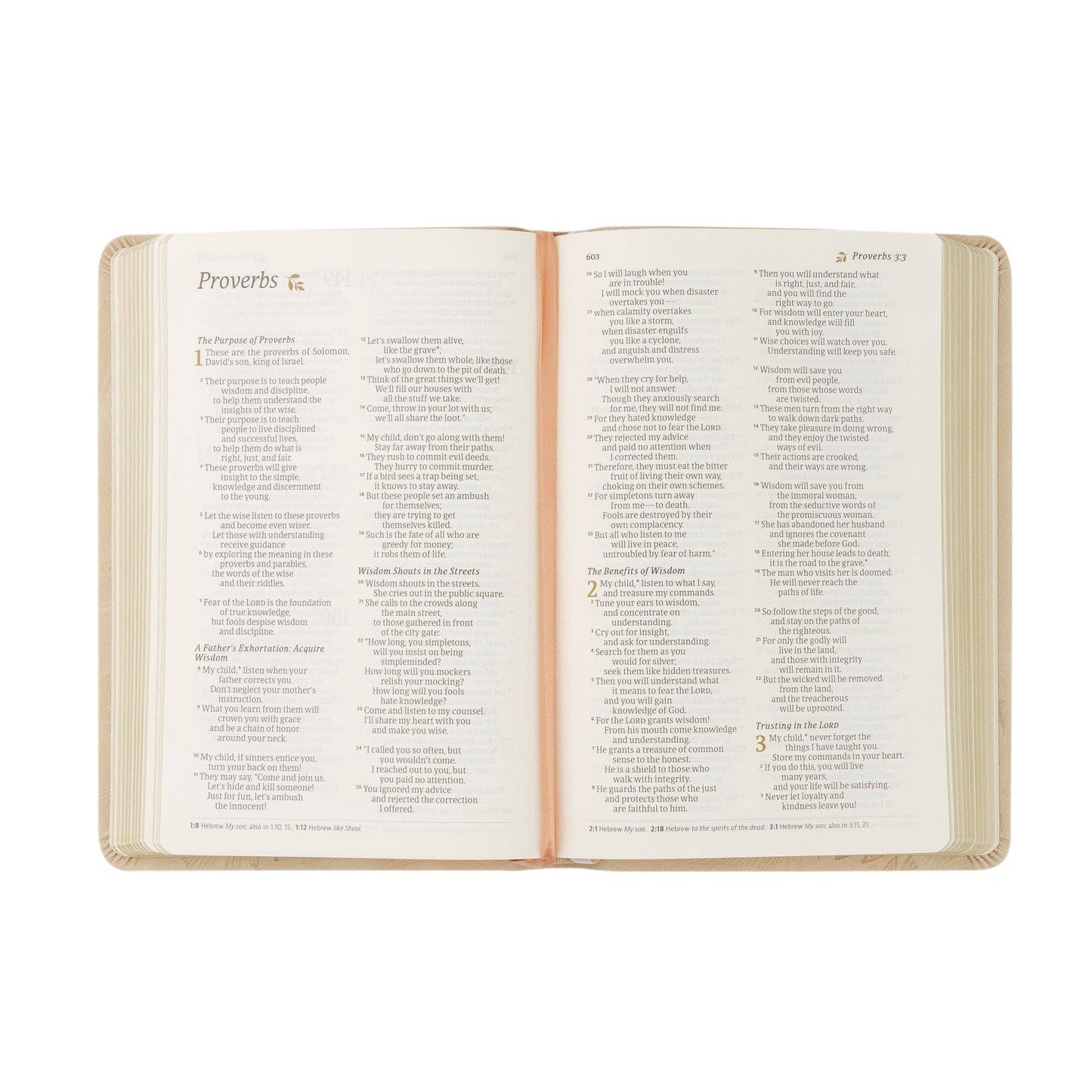 Hosanna Revival NLT Compact Bible: Sonora Theme