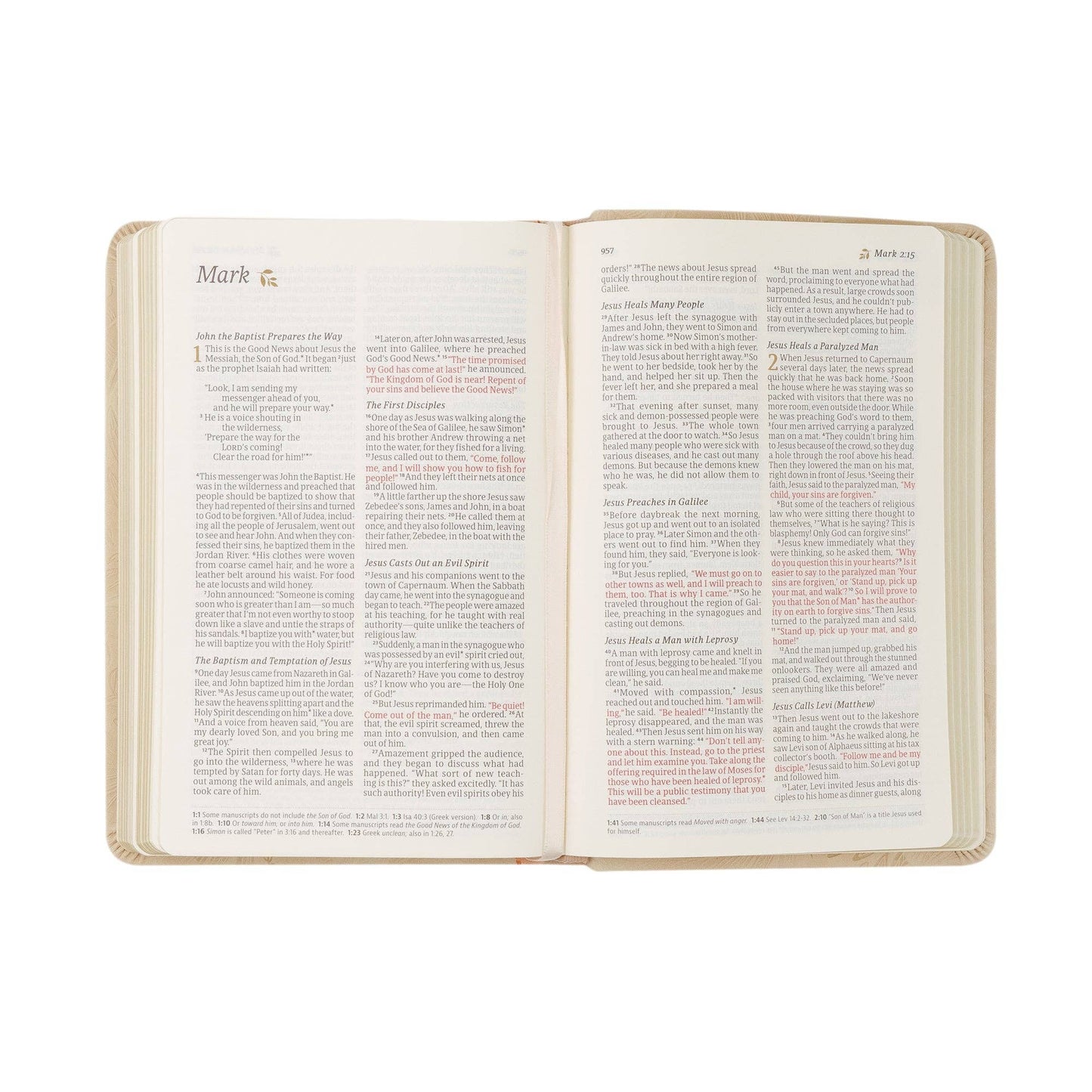 Hosanna Revival NLT Compact Bible: Sonora Theme