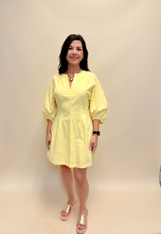 The Marilyn Mini Dress