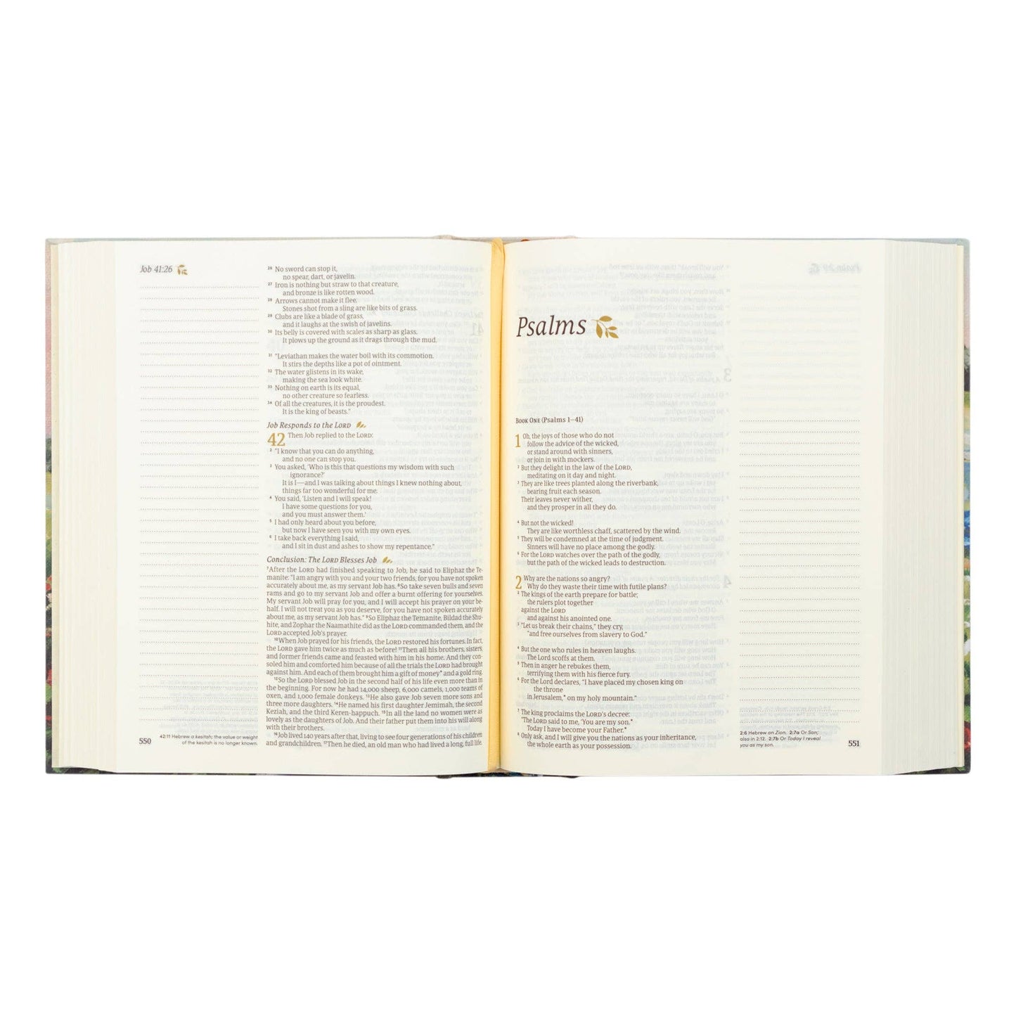 NLT Notetaking Bible : Coram Theme