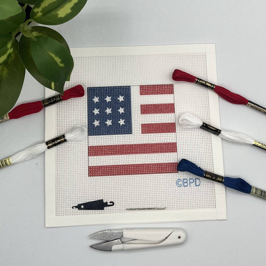 USA Flag Needlepoint Kit