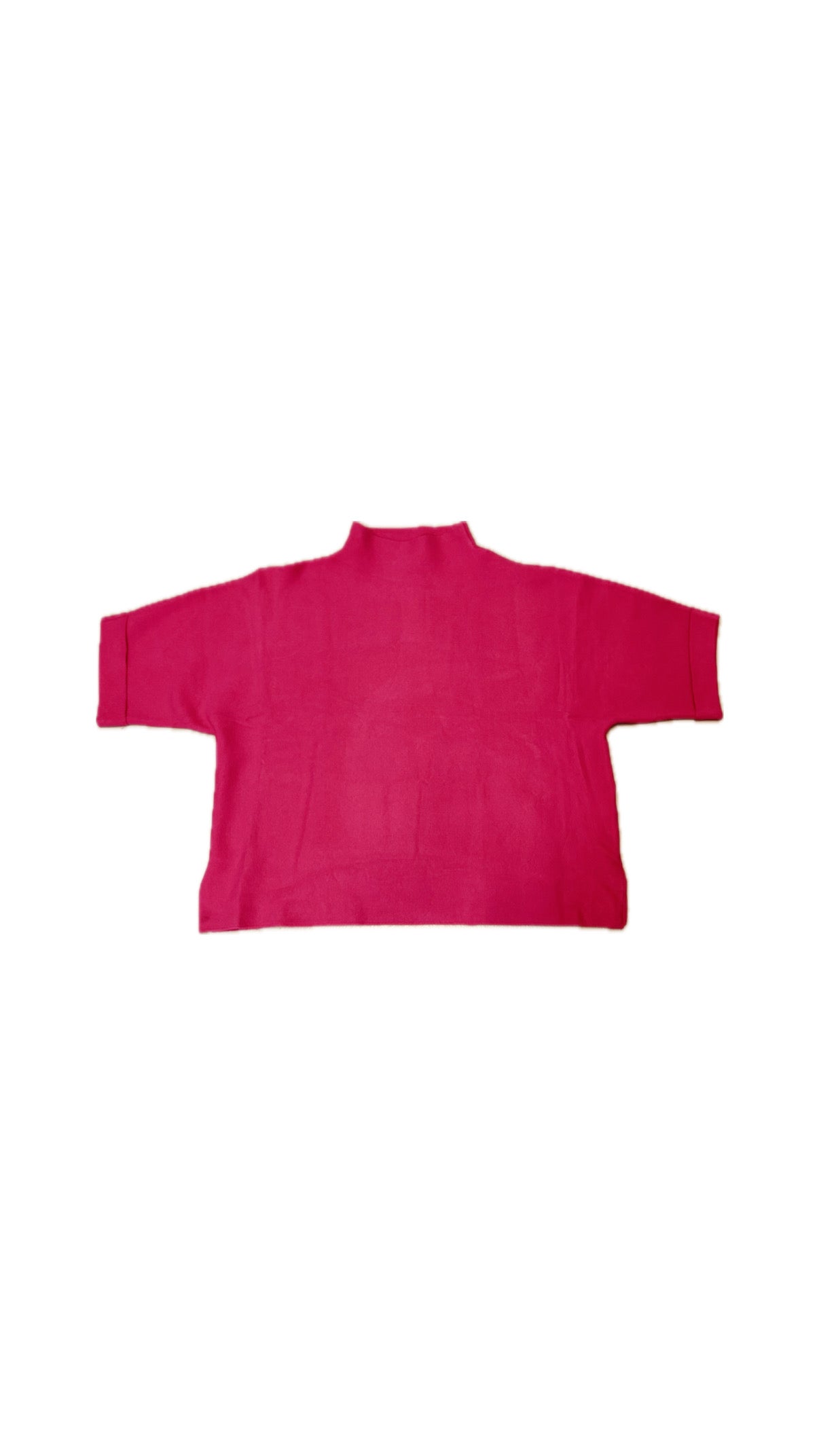 The Debbie Mock Neck Top