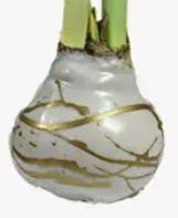 Double White Flower Gold Lacquer Splatter