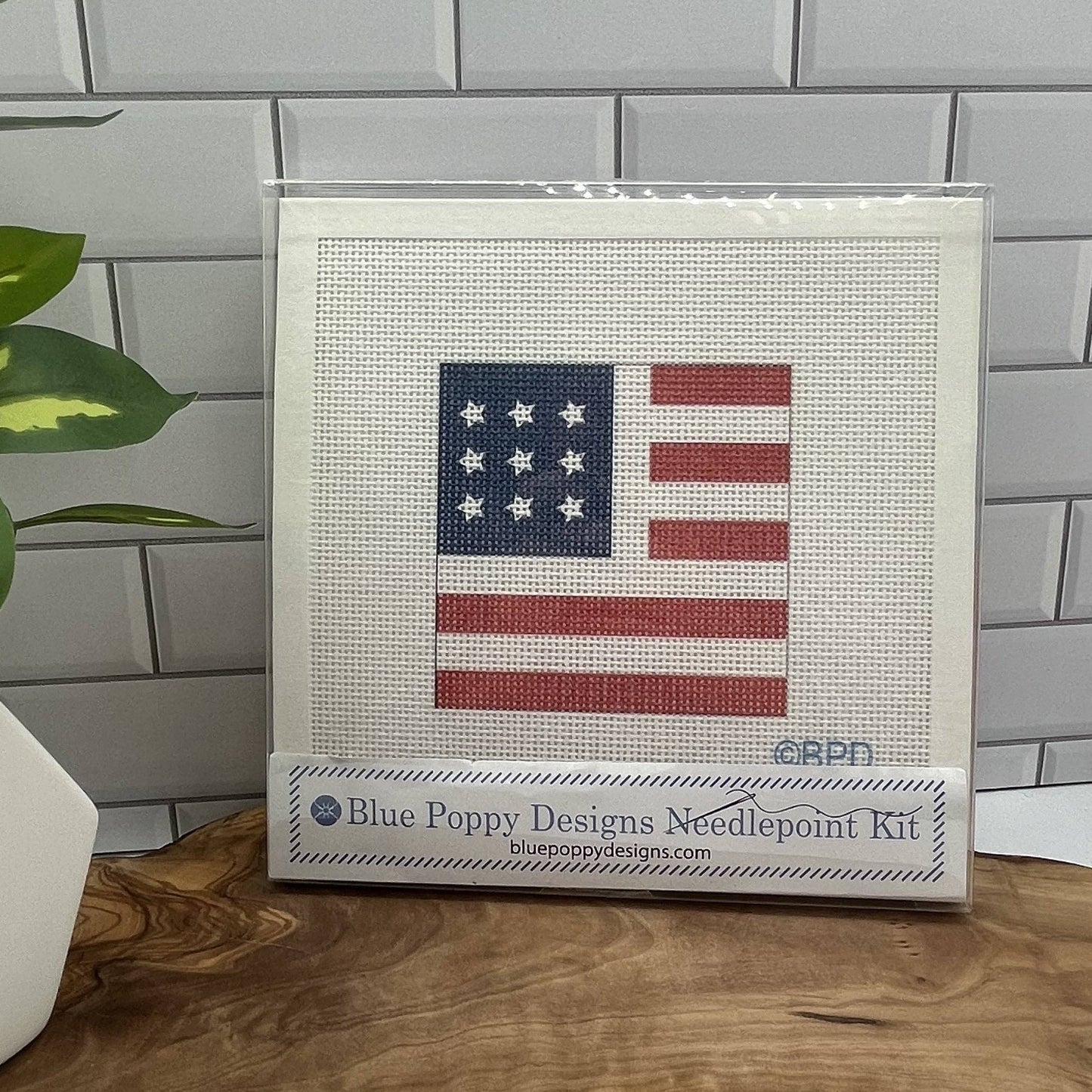USA Flag Needlepoint Kit